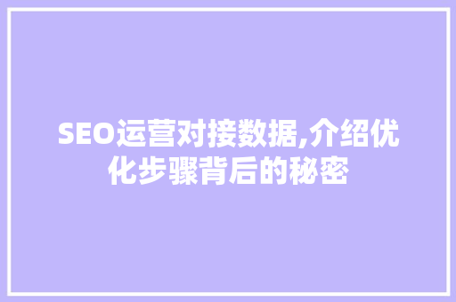 SEO运营对接数据,介绍优化步骤背后的秘密
