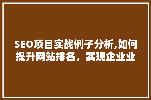 SEO项目实战例子分析,如何提升网站排名，实现企业业绩增长