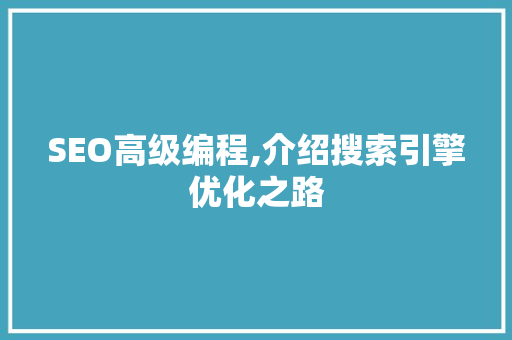 SEO高级编程,介绍搜索引擎优化之路