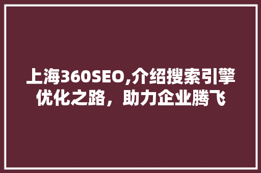 上海360SEO,介绍搜索引擎优化之路，助力企业腾飞