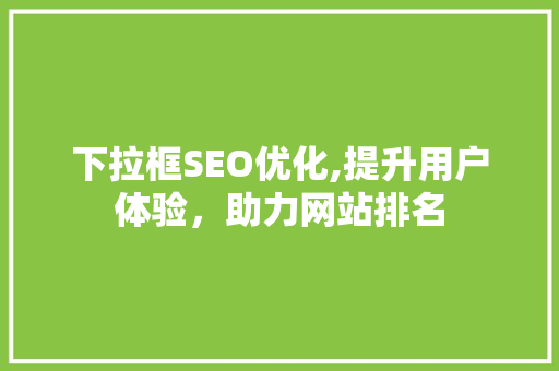 下拉框SEO优化,提升用户体验，助力网站排名