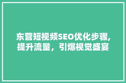 东营短视频SEO优化步骤,提升流量，引爆视觉盛宴
