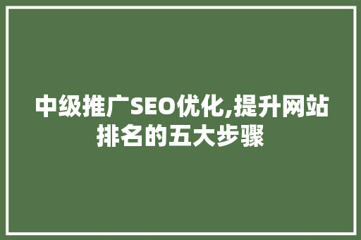 中级推广SEO优化,提升网站排名的五大步骤