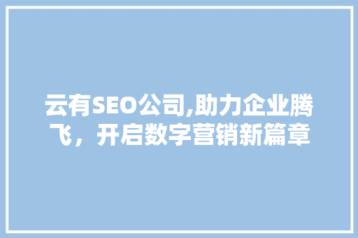 云有SEO公司,助力企业腾飞，开启数字营销新篇章