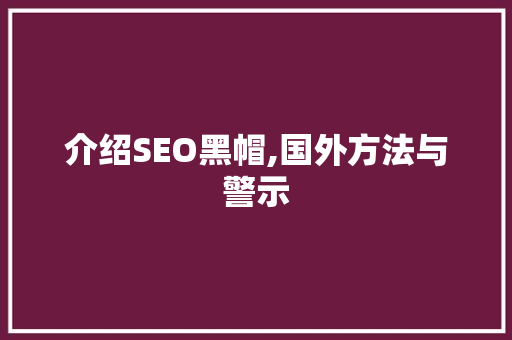 介绍SEO黑帽,国外方法与警示