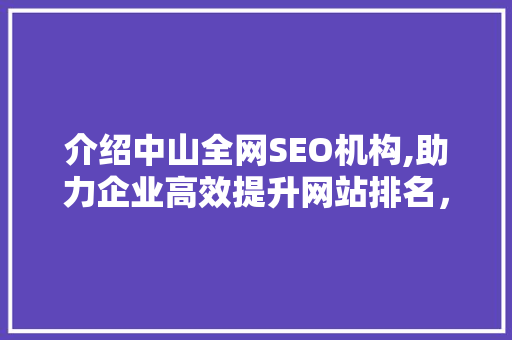 介绍中山全网SEO机构,助力企业高效提升网站排名，抢占网络市场先机