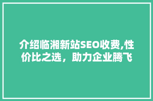 介绍临湘新站SEO收费,性价比之选，助力企业腾飞
