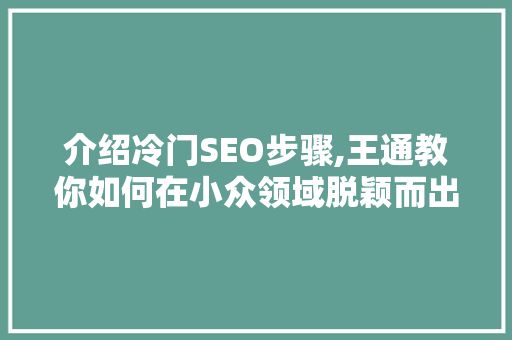 介绍冷门SEO步骤,王通教你如何在小众领域脱颖而出