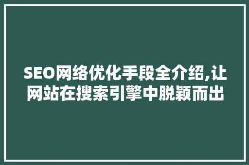 SEO网络优化手段全介绍,让网站在搜索引擎中脱颖而出