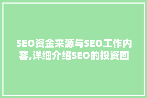 SEO资金来源与SEO工作内容,详细介绍SEO的投资回报之路