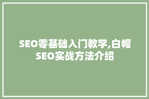 SEO零基础入门教学,白帽SEO实战方法介绍