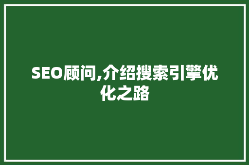 SEO顾问,介绍搜索引擎优化之路