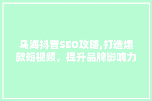 乌海抖音SEO攻略,打造爆款短视频，提升品牌影响力