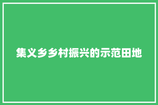 集义乡乡村振兴的示范田地