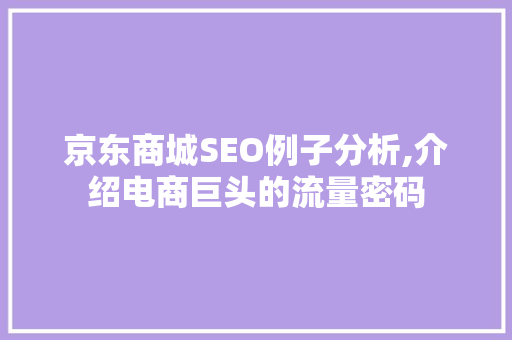 京东商城SEO例子分析,介绍电商巨头的流量密码
