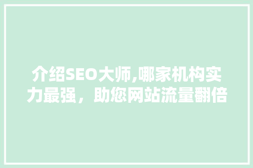 介绍SEO大师,哪家机构实力最强，助您网站流量翻倍！