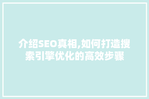 介绍SEO真相,如何打造搜索引擎优化的高效步骤