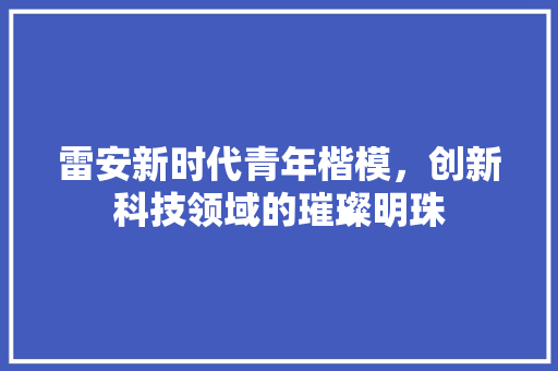 雷安新时代青年楷模，创新科技领域的璀璨明珠
