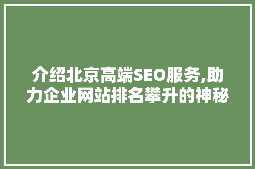 介绍北京高端SEO服务,助力企业网站排名攀升的神秘力量