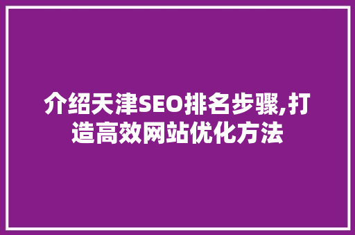 介绍天津SEO排名步骤,打造高效网站优化方法