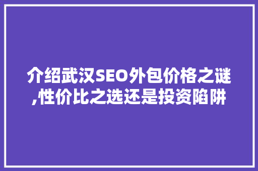 介绍武汉SEO外包价格之谜,性价比之选还是投资陷阱
