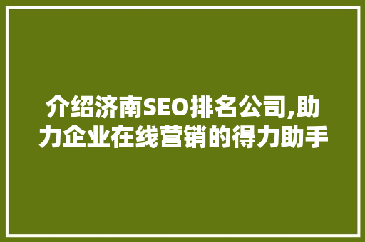 介绍济南SEO排名公司,助力企业在线营销的得力助手