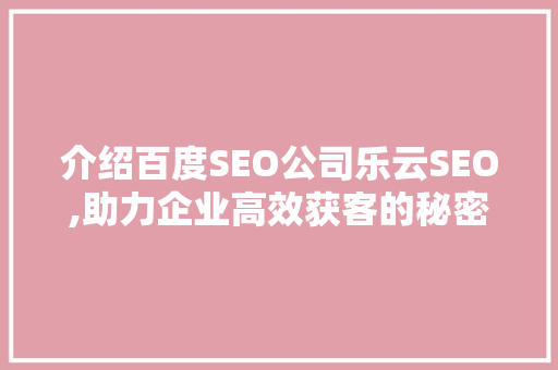介绍百度SEO公司乐云SEO,助力企业高效获客的秘密武器