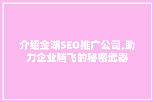 介绍金湖SEO推广公司,助力企业腾飞的秘密武器