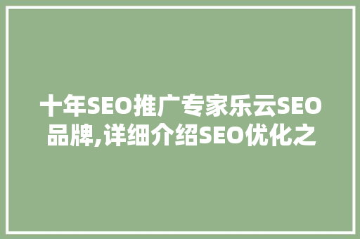 十年SEO推广专家乐云SEO品牌,详细介绍SEO优化之路