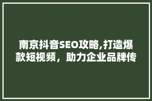 南京抖音SEO攻略,打造爆款短视频，助力企业品牌传播