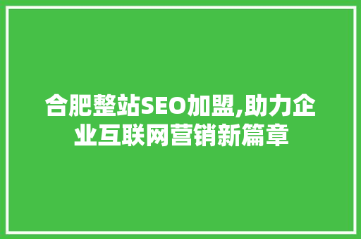 合肥整站SEO加盟,助力企业互联网营销新篇章