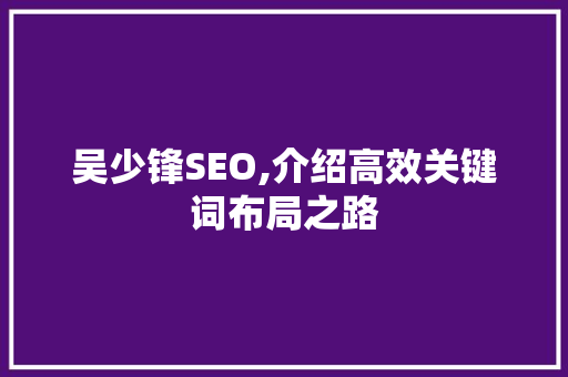 吴少锋SEO,介绍高效关键词布局之路