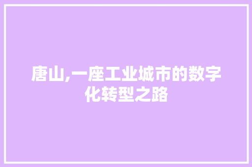 唐山,一座工业城市的数字化转型之路