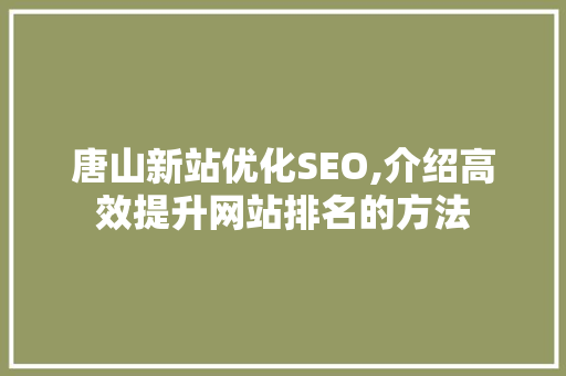 唐山新站优化SEO,介绍高效提升网站排名的方法