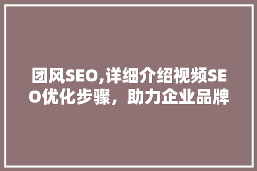 团风SEO,详细介绍视频SEO优化步骤，助力企业品牌提升