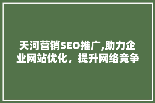 天河营销SEO推广,助力企业网站优化，提升网络竞争力