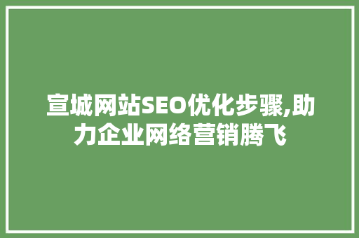 宣城网站SEO优化步骤,助力企业网络营销腾飞