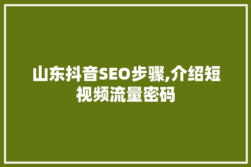山东抖音SEO步骤,介绍短视频流量密码