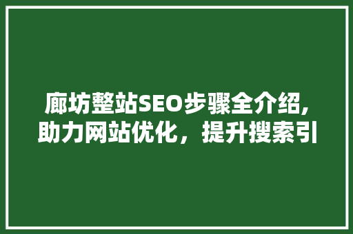 廊坊整站SEO步骤全介绍,助力网站优化，提升搜索引擎排名