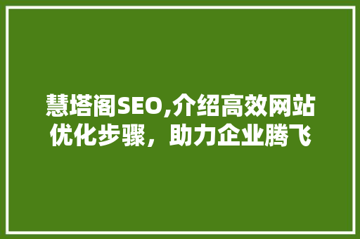 慧塔阁SEO,介绍高效网站优化步骤，助力企业腾飞