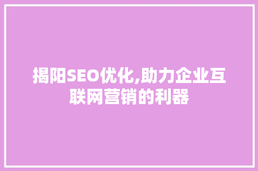 揭阳SEO优化,助力企业互联网营销的利器