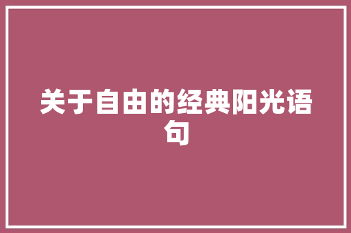新航线SEO学院,引领SEO领域，助力企业高效营销