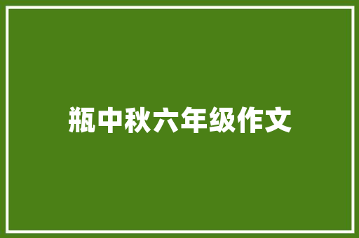 日照SEO网站外包,高效提升网站排名的秘密武器