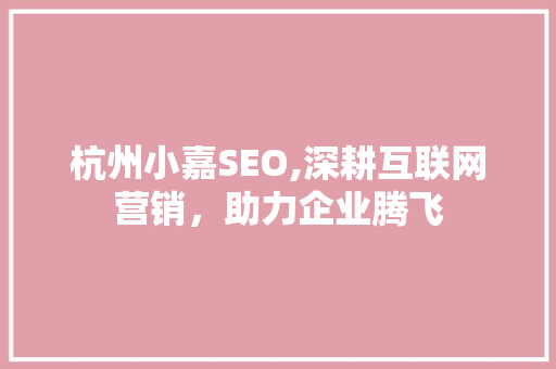 杭州小嘉SEO,深耕互联网营销，助力企业腾飞