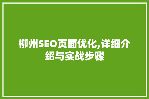柳州SEO页面优化,详细介绍与实战步骤