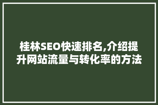 桂林SEO快速排名,介绍提升网站流量与转化率的方法