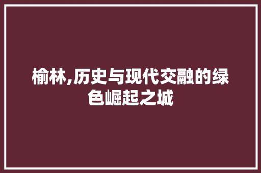 榆林,历史与现代交融的绿色崛起之城