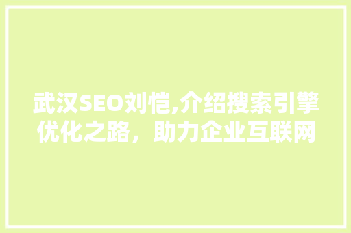 武汉SEO刘恺,介绍搜索引擎优化之路，助力企业互联网发展