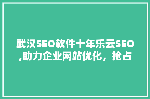 武汉SEO软件十年乐云SEO,助力企业网站优化，抢占市场先机