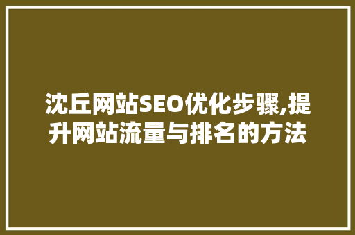 沈丘网站SEO优化步骤,提升网站流量与排名的方法